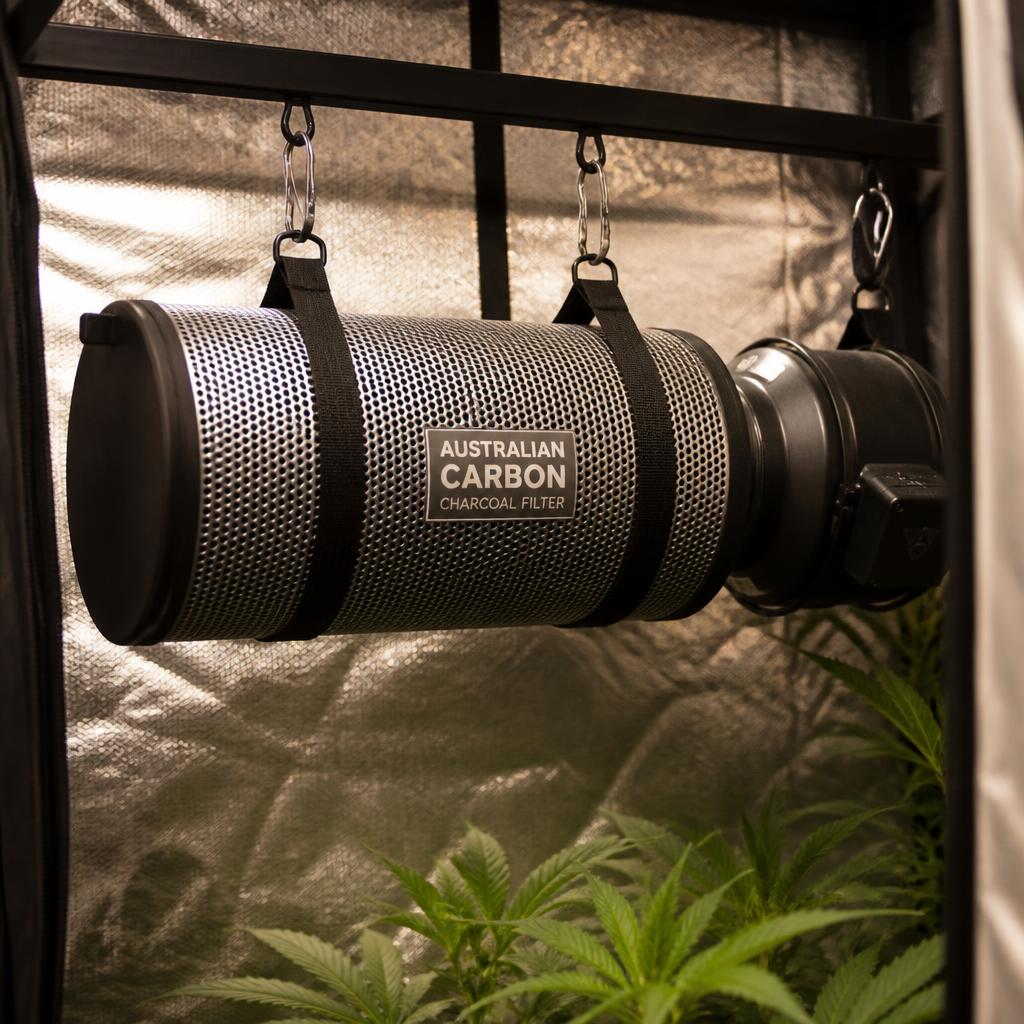 Carbon Filter, 6" Australian Charcoal