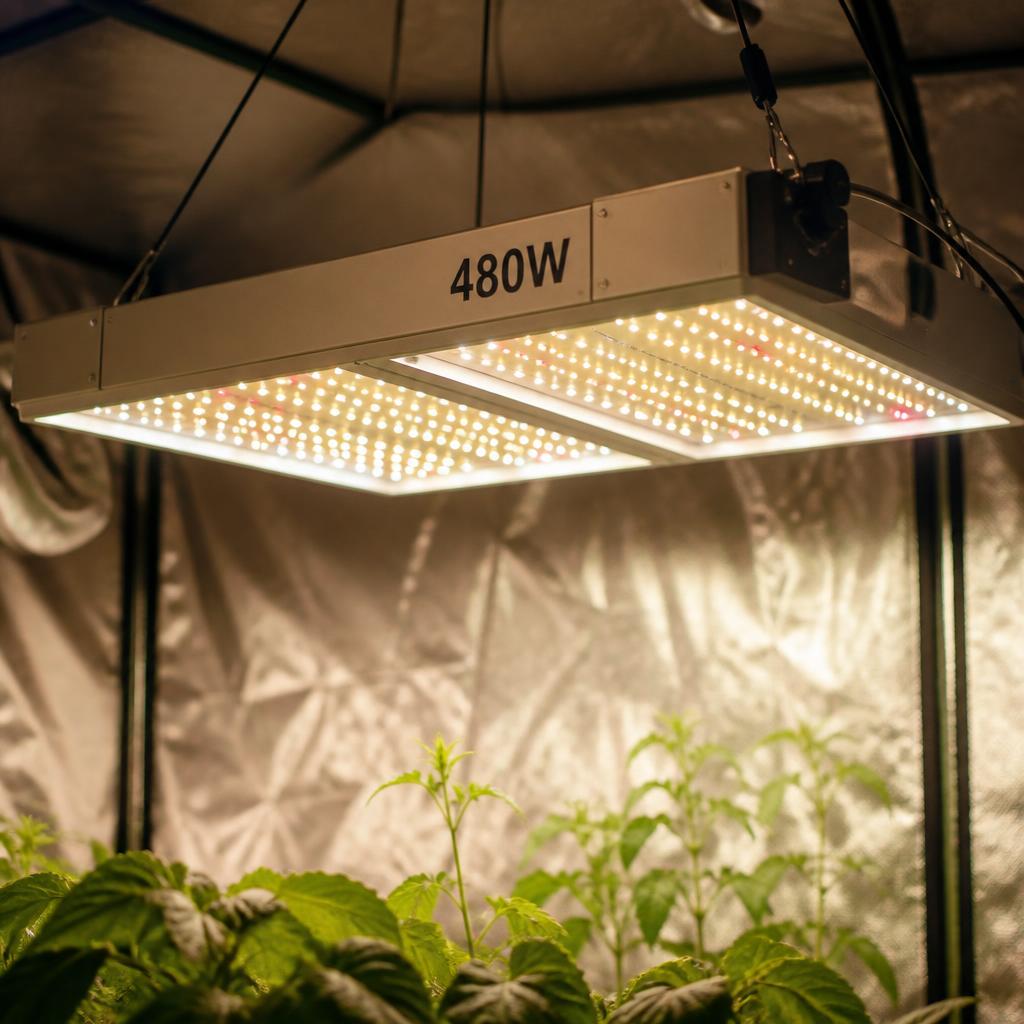 Budometry 480W Full-Spectrum LED